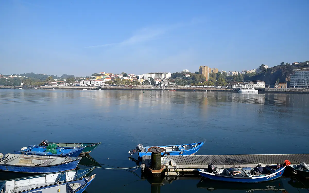 Houten vissersbootjes afgemeerd aan een steiger op de Douro bij Afurada, met de overkant in het ochtendlicht