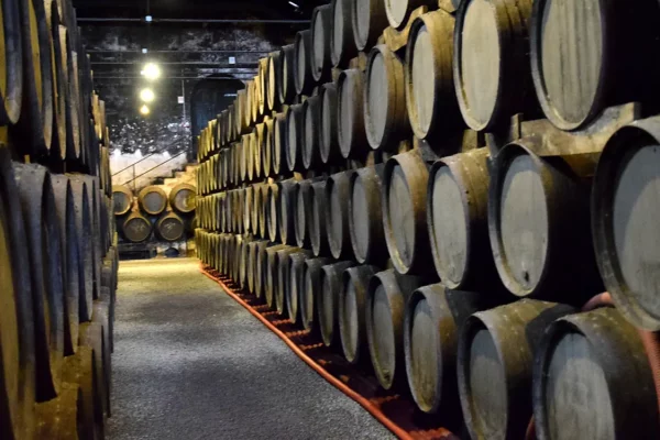 Excursies vanuit Porto: portkelders, Douro en dagtrips