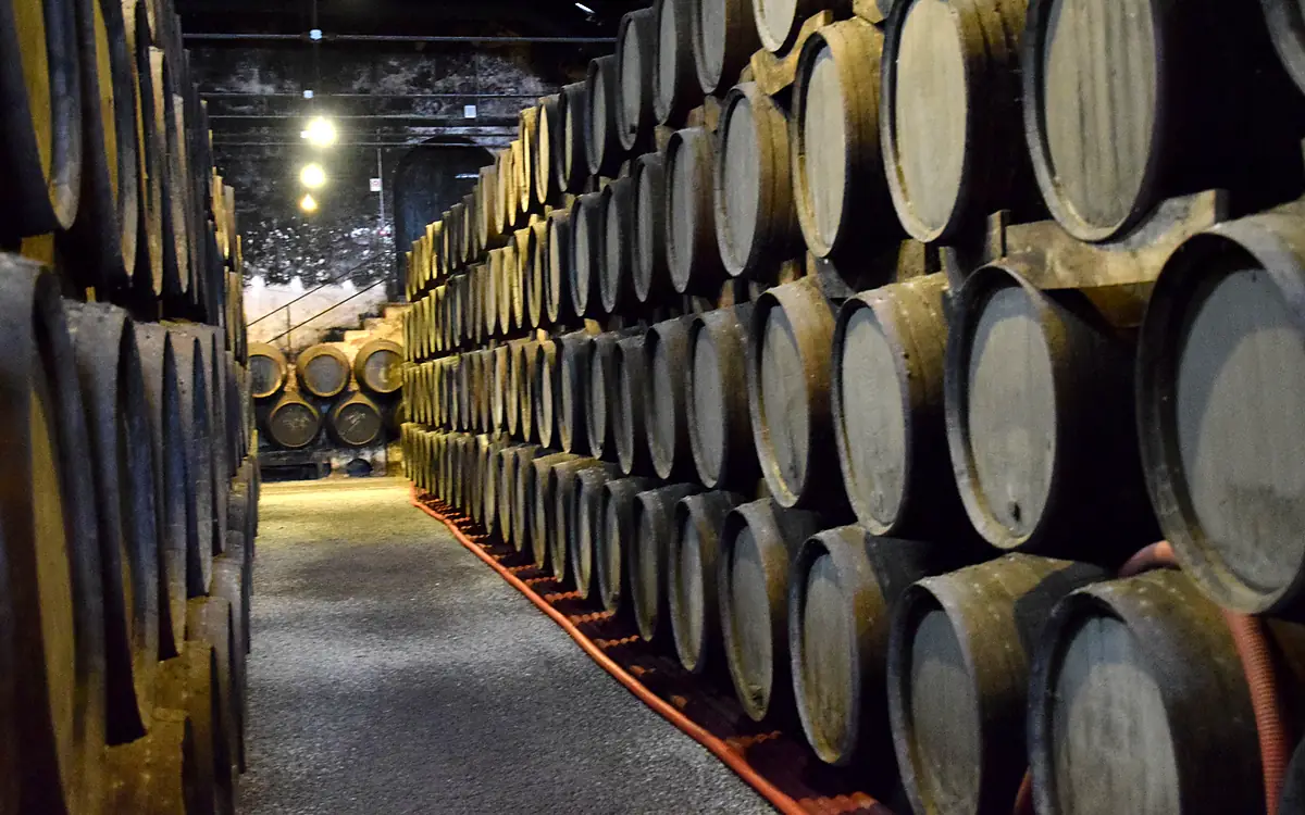 Excursies vanuit Porto: portkelders, Douro en dagtrips